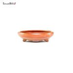 T26036 12.0x3.5 - Ittoen - immagine 2