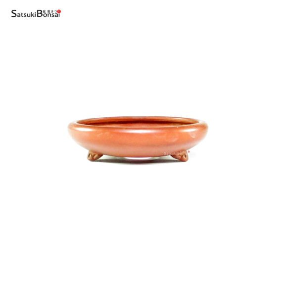 T26036 12.0x3.5 - Ittoen - immagine 2