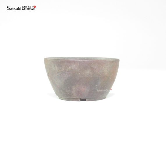 T26037 8.6x4.6 - Bikou - immagine 2