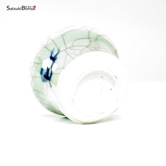 T26038 9.0x5.5 - Souma - immagine 2