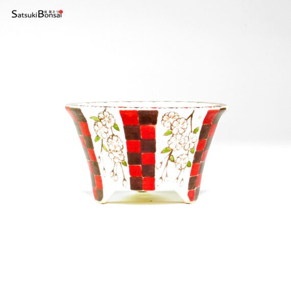 T26041 9.0x5.5 - Senichi - immagine 2