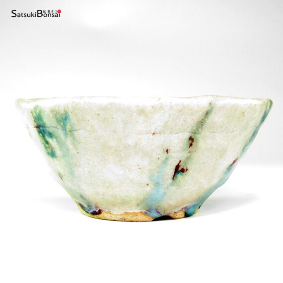 T26043 18.5x8.5 - Bunzan - immagine 2