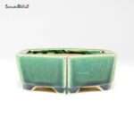 T26047 12.0x11.0x4.0 - Shibakatsu - immagine 2