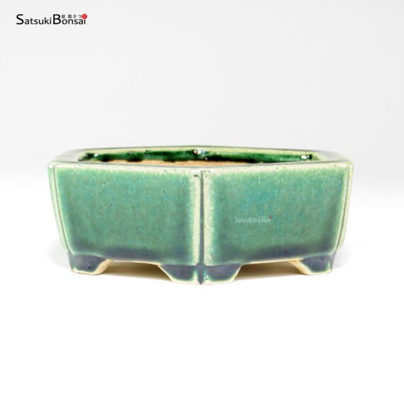 T26047 12.0x11.0x4.0 - Shibakatsu - immagine 2