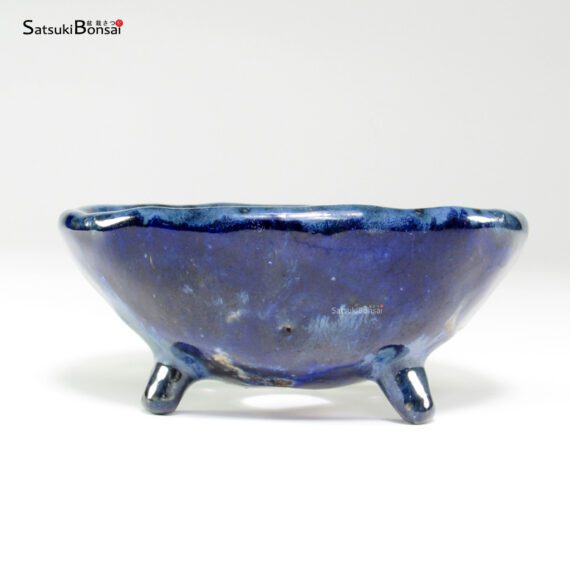 T26049 11.5x5.5 - Bunzan - immagine 3