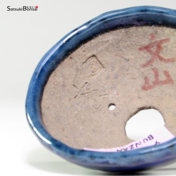 T26049 11.5x5.5 - Bunzan - immagine 5