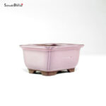 T26053 10.0x8.0x5.0 - Bunzan
