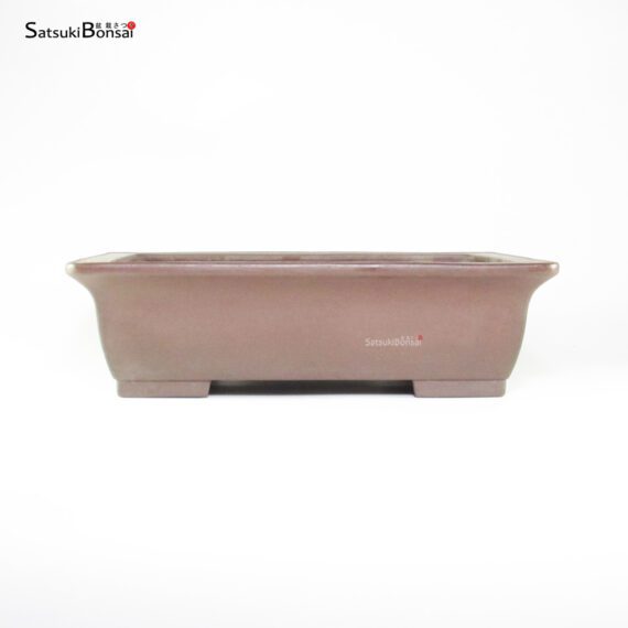 T26074 40.5x31.5x11.5 - Yamaaki - immagine 2