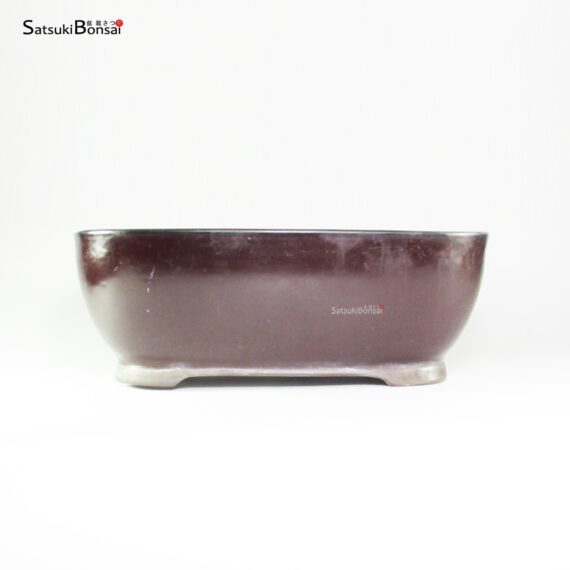 T26081 46.0x32.5x10.5 - Japan Namako - immagine 2