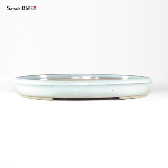 T26084 49.5x36.5x6.5 - Shunzan - immagine 2