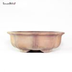 T26087 34.5x11.5 - Zenigo