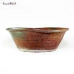 T26088 35.5x12.0 - Matsushita Bonsai