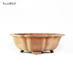 T26090 32.0x10.5 - Biyou