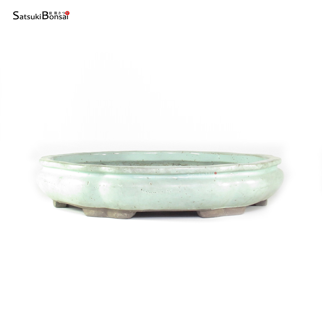 T26093_1-Shuho T26093 39.0x8.0 - Shuhuo - immagine 1