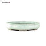 T26093 39.0x8.0 - Shuhuo - immagine 2