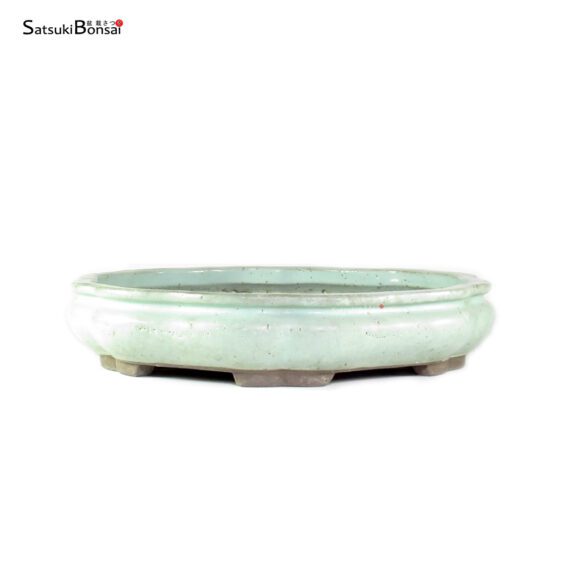 T26093 39.0x8.0 - Shuhuo - immagine 2