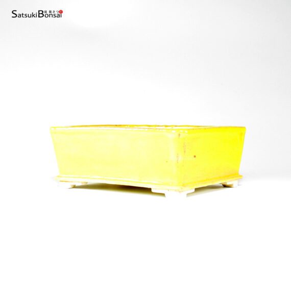 T26097 16.5x14.0x6.5 - Fukagama - immagine 3