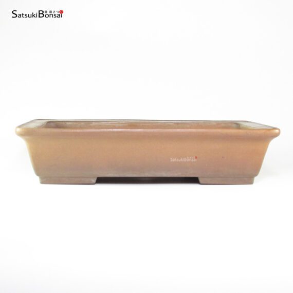 T26116 40.5x29.5x8.5 - Tokoname - immagine 2