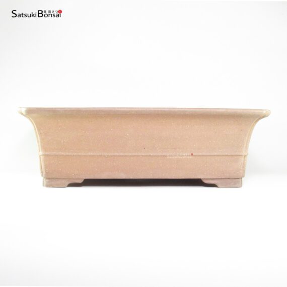 T26117 49.0x40.0x15.5 - Gyozan - immagine 2