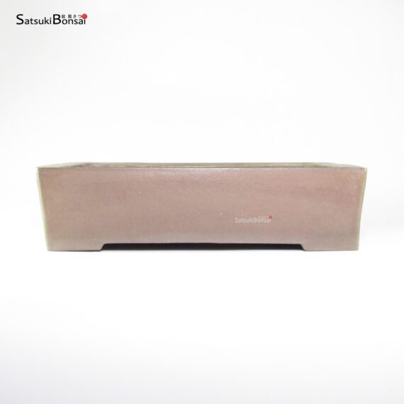 T26118 46.5x32.5x11.5 - Shuzan (Suzuki Syuzan) - immagine 2