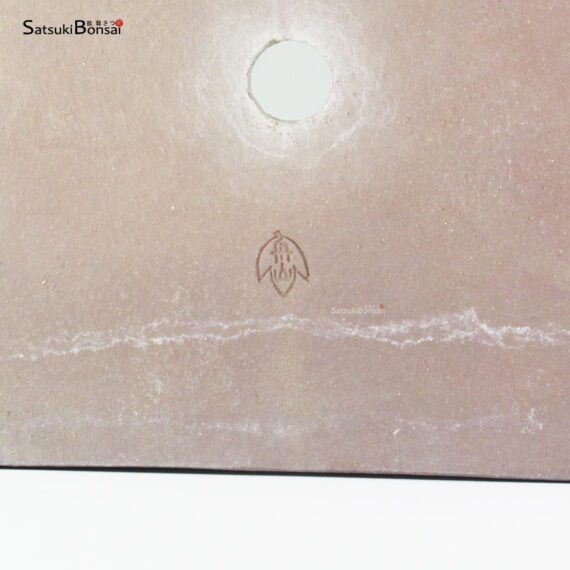 T26118 46.5x32.5x11.5 - Shuzan (Suzuki Syuzan) - immagine 3