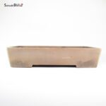 T26119 50.0x36.5x10.0 - Keizan - immagine 2