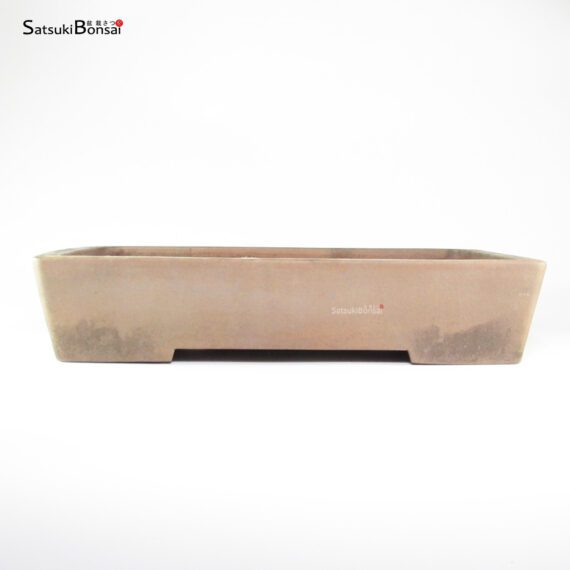 T26119 50.0x36.5x10.0 - Keizan - immagine 2