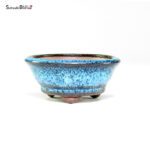 T26030 8.5x4.0 - Shoho