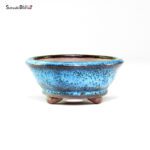 T26030 8.5x4.0 - Shoho - immagine 2
