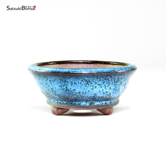 T26030 8.5x4.0 - Shoho - immagine 2