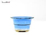 T26128 7.0x4.2 - Japan - immagine 2