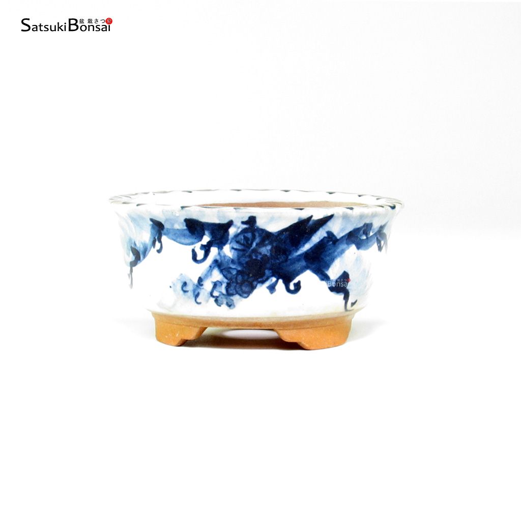 T26128_1-Japan T26031 8.2x4.0 - Japan - immagine 1