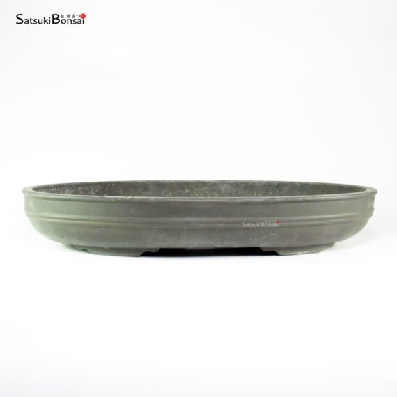 T26136 47.5x36.0x8.0 - Maruhei - immagine 2