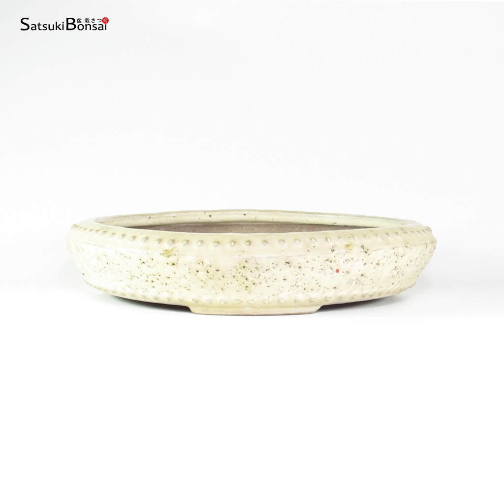 T26139_1-Shuho T26139 34.0x7.0 - Shuhuo - immagine 1