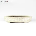 T26139 34.0x7.0 - Shuhuo - immagine 2