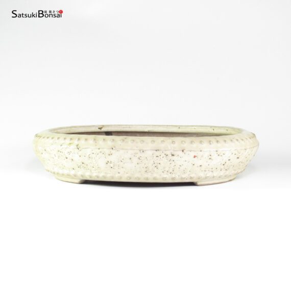 T26139 34.0x7.0 - Shuhuo - immagine 2