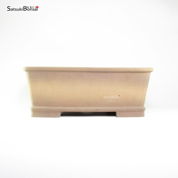T26146 42.0x31.5x16.0 - Zenigo - immagine 2