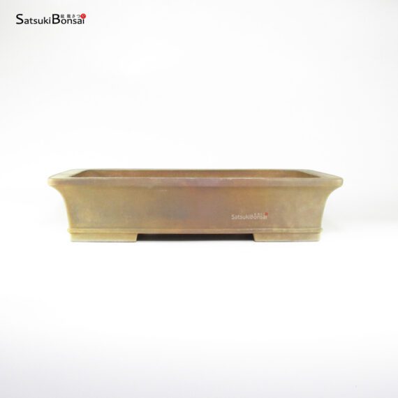 T26154 41.5x32.0x9.5 - Keizan - immagine 2