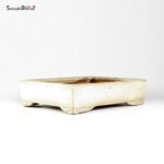 T26156 32.5x24.0x7.5 - Shuho