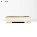 T26156 32.5x24.0x7.5 - Shuho - immagine 2