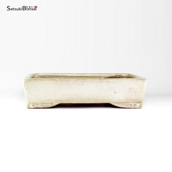 T26156 32.5x24.0x7.5 - Shuho - immagine 2