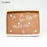 T26156 32.5x24.0x7.5 - Shuho - immagine 4