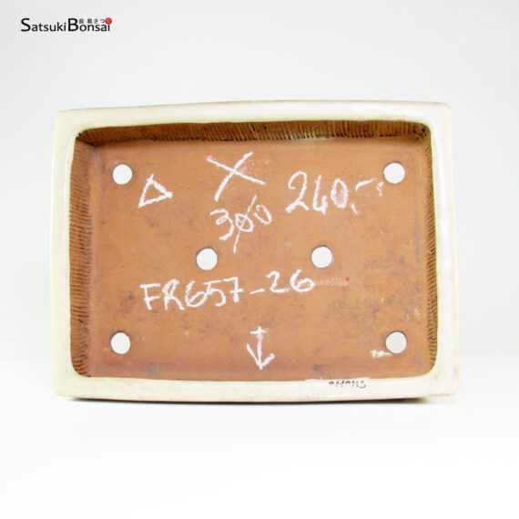 T26156 32.5x24.0x7.5 - Shuho - immagine 4