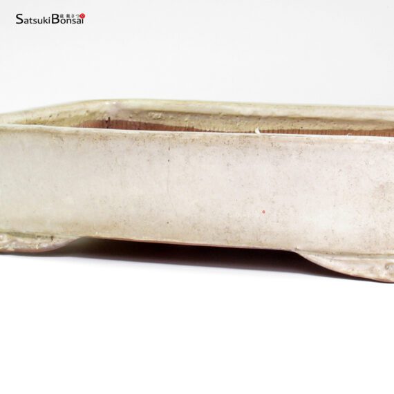 T26156 32.5x24.0x7.5 - Shuho - immagine 3