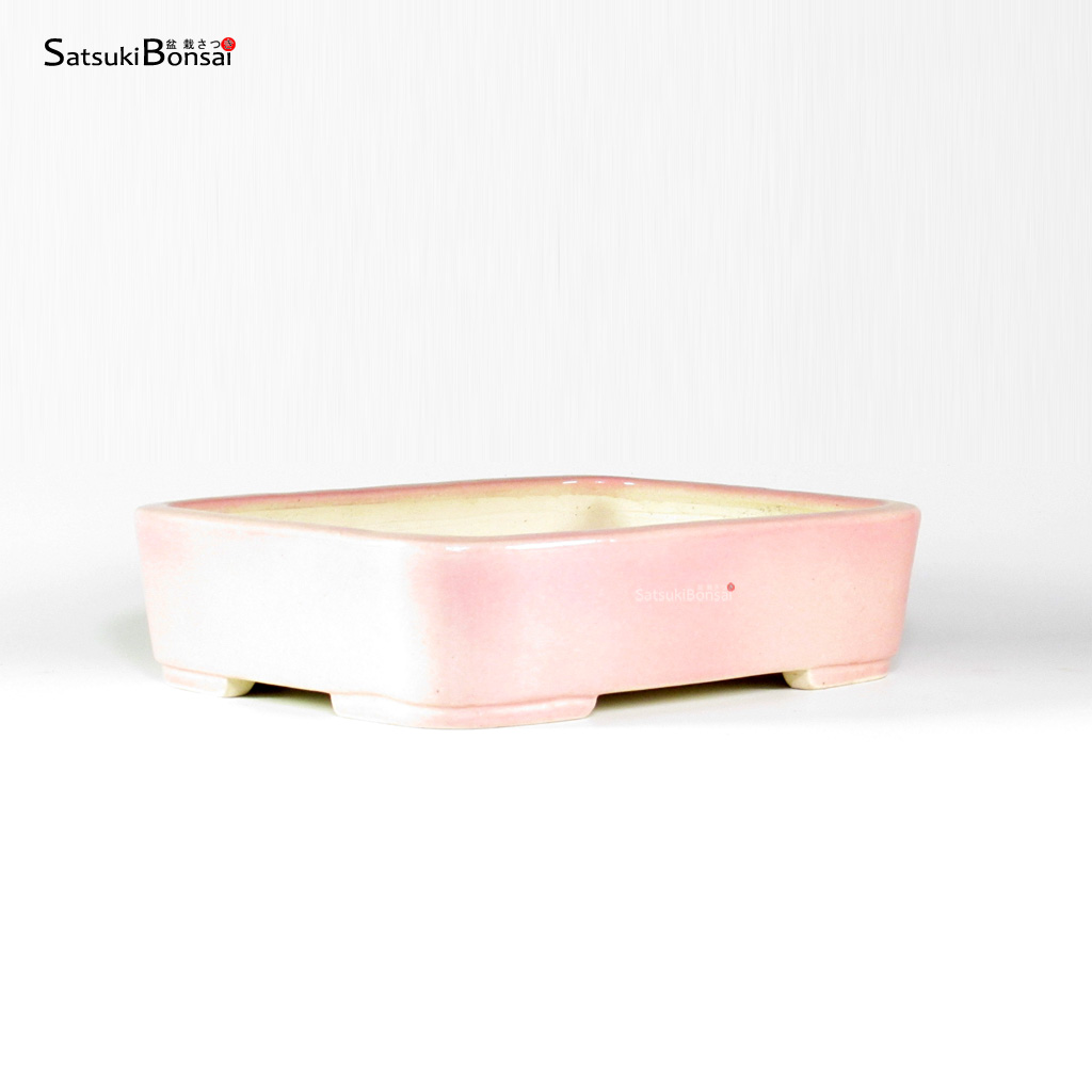 T26161_1-Japan T26161 25.5x20.0x6.5 - Japan - immagine 1