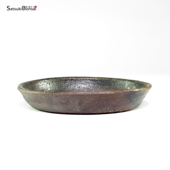 T26200 13.8x2.4 - Koyo - Fuyo-en - immagine 2